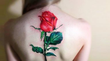 Rose Tattoo Designs For Your Best Inspiration